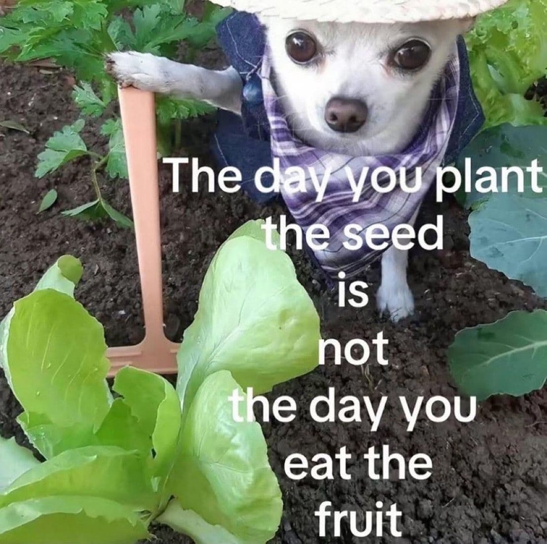 Keep going 5